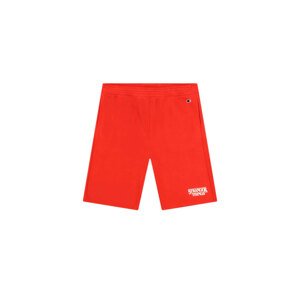 Champion X Stranger Things Unisex Shorts