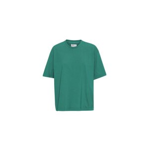 Colorful Standard Oversized Organic T-Shirt