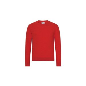 Colorful Standard Light Merino Wool Crew