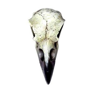 ALCHEMY GOTHIC Dekoráció - Small Raven Skull