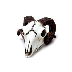 Dekoráció ALCHEMY GOTHIC - Rams Skull