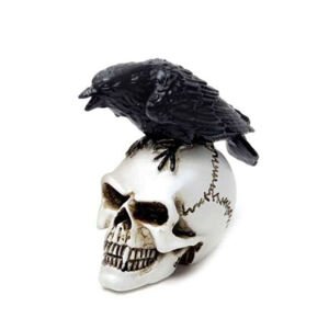 Dekoráció ALCHEMY GOTHIC - Raven Skull