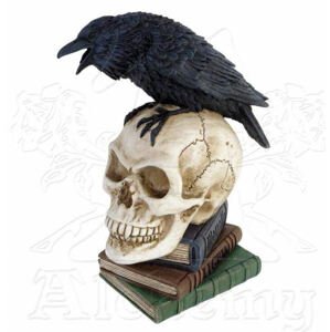 dekoráció ALCHEMY GOTHIC - POE Raven - V17