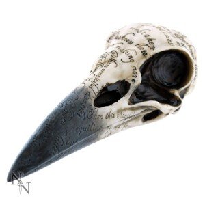 Edgar's Raven Skull dekoráció- B1986F6